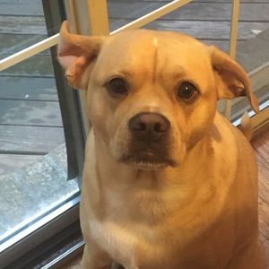 Meet your Posher, Patrick